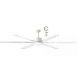 MARTEC  Big white fan is a product on offer at the best price