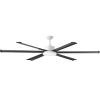 Groer weier Ventilator mit schwarzen F