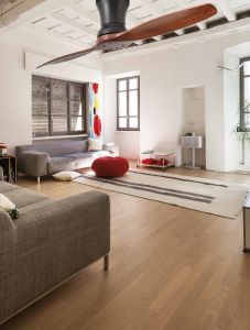 2 Blade Ceiling Fan Without Light Lama