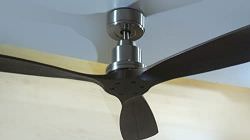 Fan with blades in real wood