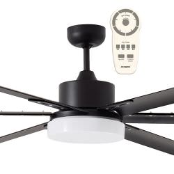 Ventilateur de plafond entirement noir