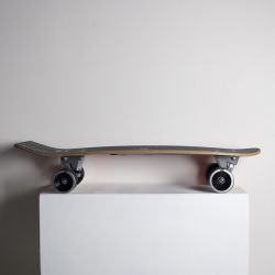 RIDE PUNK Skateboard