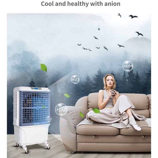 SINED   é um produto em oferta ao melhor preço online