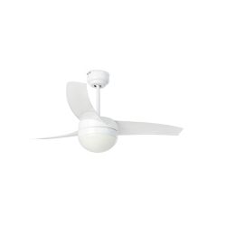 Faro Elegante e Resistente Per Ogni Ambiente
