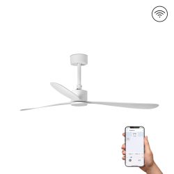FARO  Faro Amelia Eleganza e Funzionalita  un prodotto in offerta al miglior prezzo online