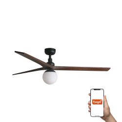 Faro Klim l Eleganza e Modernita Assicurata