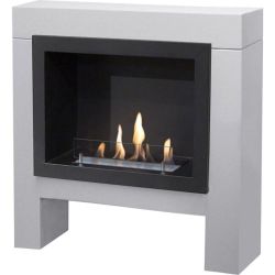 Bio Ethanol Freestanding Fireplace