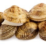 Ricetta zuppa di molluschi Ricetta zuppa di molluschi