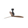 Ventilatore a Soffitto Mini Eterfan Nero
