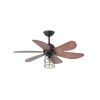 Ventilateur De Plafond Avec Lumiere