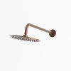 Stainless Steel 25cm Wall Shower Arm Kit