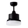 Only DC Motor Black color for Albatross Ceiling Fan 24W SMD LED Light Motor and 5 speed Remote Control included