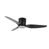 Black fan for low ceiling