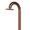 Stainless Steel Shower Rose Gold Color