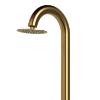 Gold Color Shower In Nautical Stainless