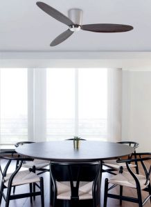 Fan With Light Pemba Nickel