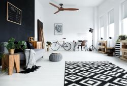Ventilatore Con Luce Per Grandi Stanze